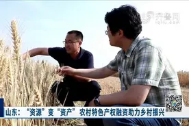 破解乡村产业融资难题，山东出台这些金融政策，让村民腰包鼓起来视频封面