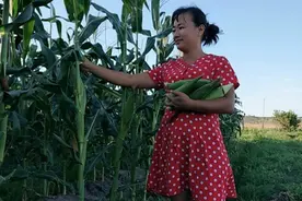 借助电商帮乡邻卖扶贫农产品 文昌媳妇成村里“带货达人”图片
