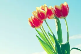 成长 | 班上有男生喜欢我图片