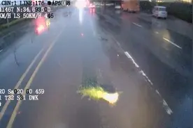 一路三次被“大葱”拦停，公交车长“怒拦”货车图片