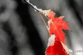 申玉元｜红尘中遇见你，是悲还是喜图片
