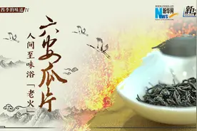 六安瓜片：人间至味浴“老火”视频封面