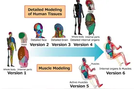 自明年1月份起，丰田将免费对外提供一套能助力实现交通零伤亡的软件图片