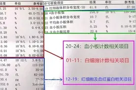 一看化验单就“蒙圈”？｜医生教你3分钟看懂基础检验报告单图片