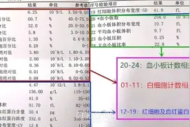 一看化验单就“蒙圈”？｜医生教你3分钟看懂基础检验报告单图片