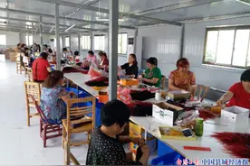 河南南召留山镇：同心联结显成效图片