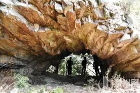 神奇山洞藏身泉州密林 犹如千百根多边形条石堆砌而成图片