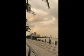 太美了！雨后彩虹桥连接深圳香港两地图片
