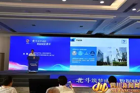 成都金牛区举行新经济论坛 专题推介“北斗+大数据”图片