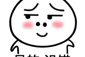 明天半夜到后天中午，沈阳有大雪图片