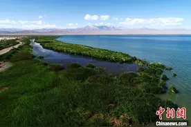 柴达木盆地山水林田湖草试点建设项目全部完成图片