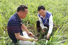 江南区平话山歌唱出脱贫攻坚精气神图片