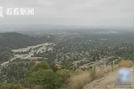 后院熟睡被熊抓伤 19岁女孩拿起电脑猛力回击图片