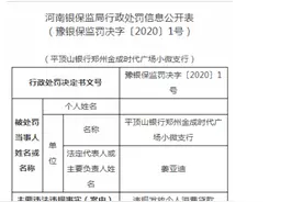 违规发放个人消费贷款 平顶山银行再获30万罚单图片
