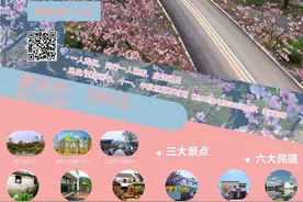 399元玩出新高度，阳山这张蜜桃卡有点甜图片
