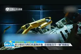 53万！波士顿动力网红机器狗开售，价格相当于一辆“特斯拉”视频封面
