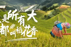 不是所有大米都能叫“稻花香”即墨法院通报一起知识产权裁判案件图片