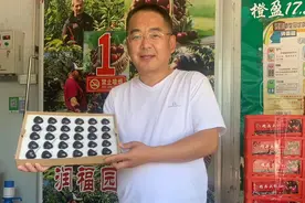 “樱桃大王”刘文坡：把新发地当家 樱桃供给正在恢复图片