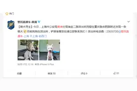 警察叔叔全网寻找狗主人：快来认领你的“萌犬”图片