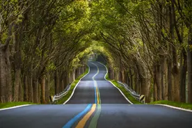 彩虹公路变网红！苏南这一小城如何立足生态特质，探路县域新经济图片