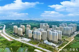 武汉重启以来体量最大还建社区正式交付，光谷3300多户原住民喜提“湖景+学区+地铁”房图片