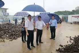 卧龙区召开重点项目建设推进现场会图片
