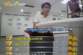 财政重金打造的“临沂版阿里巴巴”，为何只能扫出“小鸟”图片