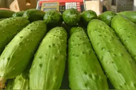 1.8元进货卖4元？北京朝阳一超市哄抬黄瓜价格被立案调查图片