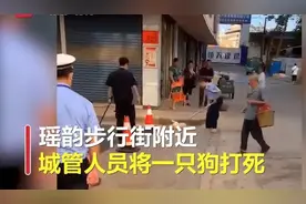遛狗不牵绳一律捕杀？如此执法未免太草率图片
