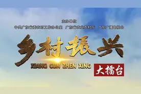 “长寿村”的秘密——梅州蕉岭县九岭村图片