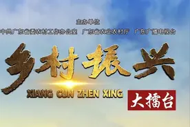 “长寿村”的秘密——梅州蕉岭县九岭村图片
