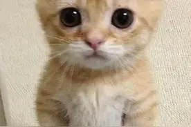 日本小哥偷拍了女友300多张“丑照”传到了网上，这波狗粮我吃撑了图片