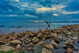 #索尼影赛初夏记#  索尼 FE 20mm F1.8 G眼中的王官湿地公园图片