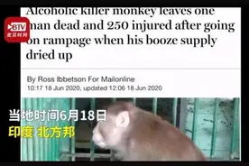 印度一只猴子酒瘾发作上街行凶 抓伤250人致1人死亡图片