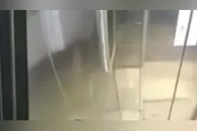 大排档老板娘凌晨电梯内被挟持遭杀害，嫌疑人埋尸时被抓视频封面