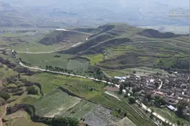 甘肃通渭：金银花香溢山川视频封面