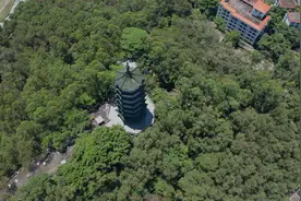 航拍｜300亩莲湖盛装等待！来桥头感受“误入藕花深处”图片