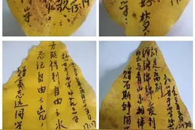 博士班主任送给学生的毕业礼物好暖心，背后是一段香樟情缘图片