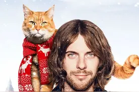 流浪猫鲍勃只是主人的摇钱树？猫咪的幸福可不由人类说了算图片