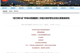重庆男子想抓“娃娃鸡”当宠物，还专门学鸡叫引诱，花了半小时抓到后却被判了刑图片