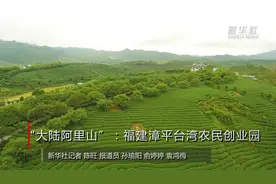 “大陆阿里山”：福建漳平台湾农民创业园视频封面