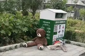 揣手手翘二郎腿，山东一医药学院被遗弃的小熊火了图片