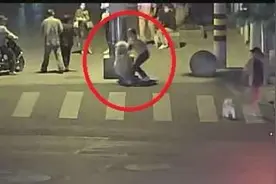 玩嗨了，萨摩耶见小狗后失控满街疯窜，主人未给其上嘴套被罚图片