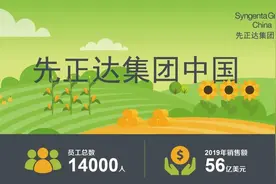 先正达中国今日正式成立，位列中国植保化肥行业第一、种业第二图片