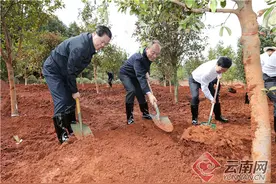 陈豪在昆明参加义务植树活动时强调：为最美丽省份建设增光添彩图片