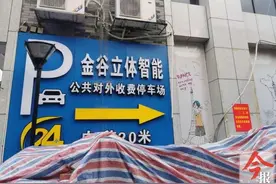 罗池路金谷立体停车场，女子连人带车坠落4米深起降库！迟几秒钟不敢想象图片