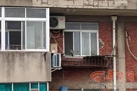 西安一爱鸟人士阳台喂鸟 鸟粪滴落低层住户后院引不满图片