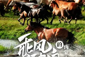 乘风破浪的内蒙古，凭什么这么骄傲？图片