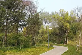 科普 | 广阳谷城市森林探奇图片