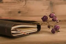 迟子建：遗忘图片